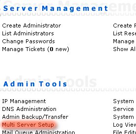 Multi Server Setup - свои NS в Directadmin